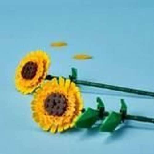 Playset Lego 40524 Pisana Cijena