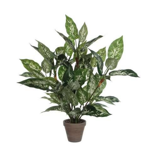Ukrasna Biljka Mica Decorations Dieffenbachia Dieffenbachia Zelena PVC (15,7 x 70 cm) Cijena