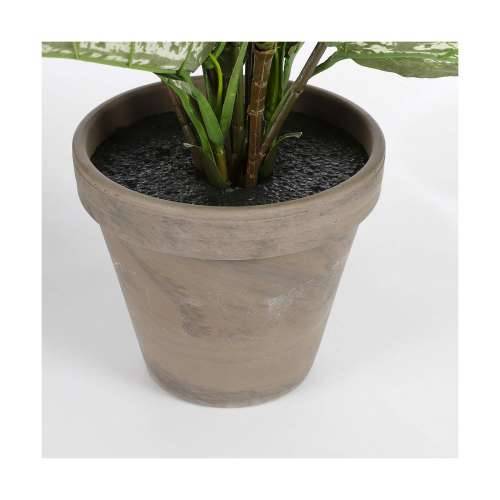Ukrasna Biljka Mica Decorations Dieffenbachia Dieffenbachia Zelena PVC (15,7 x 70 cm) Cijena