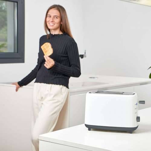 Toster Black & Decker BXTOA820E 820 W Cijena