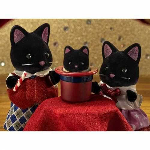 Figure djelovanja Sylvanian Families 5530 SYLVANIAN FAMILIES The Magician Cat Family For Children Cijena