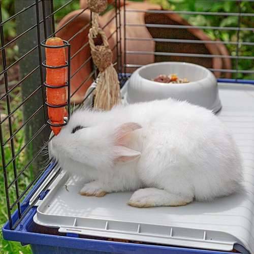 kavez Ferplast Rabbit 120 Metal Plastika 11,8 x 58,5 x 49,5 cm Cijena