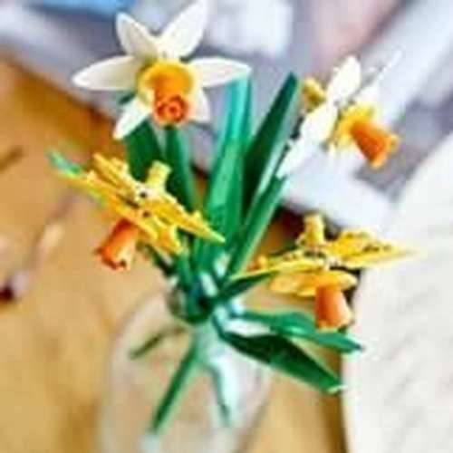 Igra Gradnje Lego 40747 Creator Narcisos Pisana Cijena