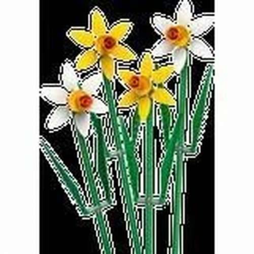 Igra Gradnje Lego 40747 Creator Narcisos Pisana Cijena