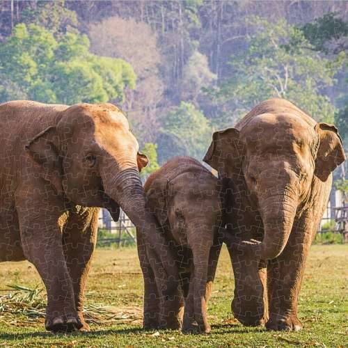 Puzzle Colorbaby Elephant 500 Dijelovi 6 kom. 61 x 46 x 0,1 cm Cijena