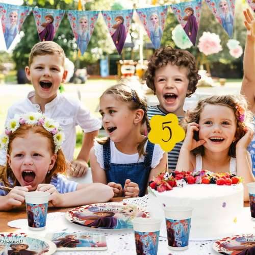 Set artikala za zabavu Frozen 66 Dijelovi Cijena