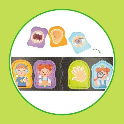 Edukativna Igra Lisciani Baby Doctor 22,5 x 0,5 x 47,5 cm (6 kom.) Cijena