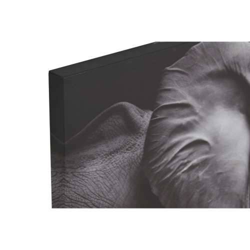 Slika Home ESPRIT tiskan moderan 120 x 3 x 80 cm (2 kom.) Cijena