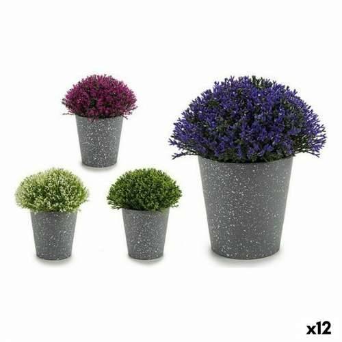 Ukrasna Biljka Ibergarden A18124-91 Plastika 14 x 15 x 14 cm (12 kom.) Cijena
