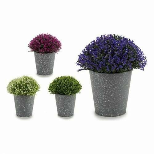 Ukrasna Biljka Ibergarden A18124-91 Plastika 14 x 15 x 14 cm (12 kom.) Cijena