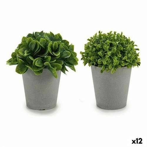 Ukrasna Biljka Ibergarden A18124-128-1 Plastika 13 x 17 x 13 cm (12 kom.) Cijena