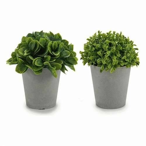Ukrasna Biljka Ibergarden A18124-128-1 Plastika 13 x 17 x 13 cm (12 kom.) Cijena