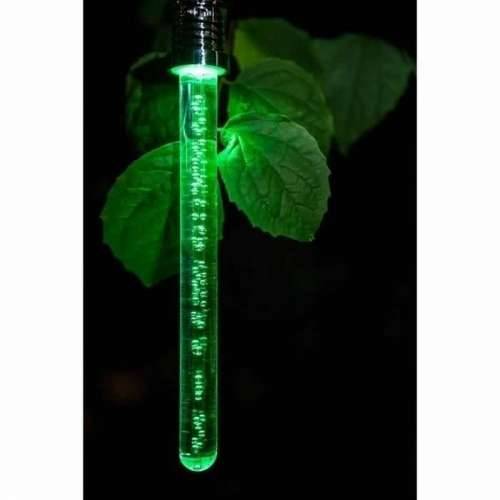 Solarna svjetiljka Garden ID Crystal Cijena