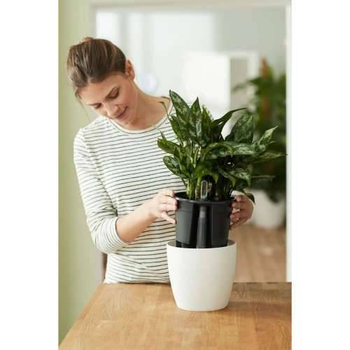Tegla za samozalijevanjem Elho Insert 28 Crna Plastika 27,7 x 27,7 x 25,5 cm Cijena