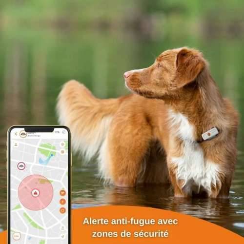 Lokalizator Izgubljenog Uređaja Weenect Weenect XS GPS Bijela Cijena