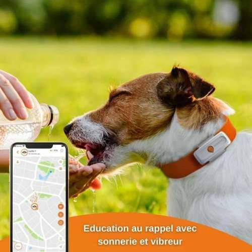 Lokalizator Izgubljenog Uređaja Weenect Weenect XS GPS Bijela Cijena