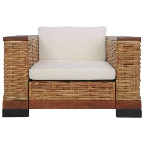 2-dijelni set sofa od prirodnog ratana s jastucima smeđi Cijena