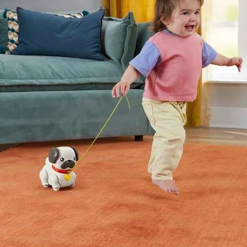 Interaktivni pas Fisher Price Cijena