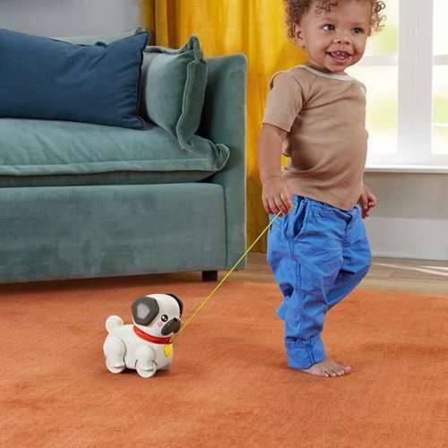 Interaktivni pas Fisher Price Cijena
