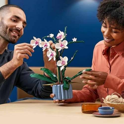 Igra Gradnje Lego 10311 ORQUÍDEA Plava Pisana 608 Dijelovi Cijena