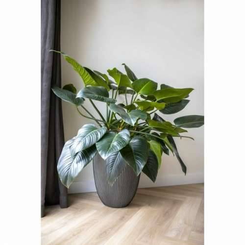 Vrč Capi Europe GROOVE NL Antracitna Plastika 34 x 34 x 46 cm Cijena