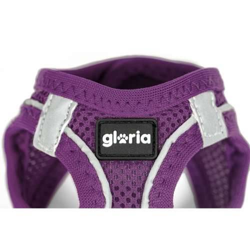 Orma za pse Gloria Trek Star 27-28 cm 31-34,6 cm Vijoličasta XS Cijena