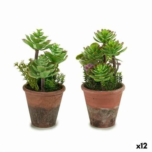 Ukrasna Biljka Ibergarden XD16-849 Plastika Sukulent 16 x 23 x 16 cm (12 kom.) Cijena