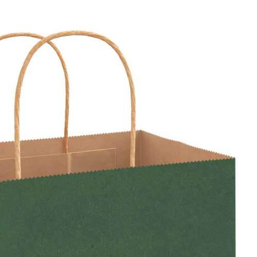 Papirnate vrećice 250 kom s ručkama zelene 26x17x25 cm - Zelena 26 x 17 x 25 cm 250 Cijena