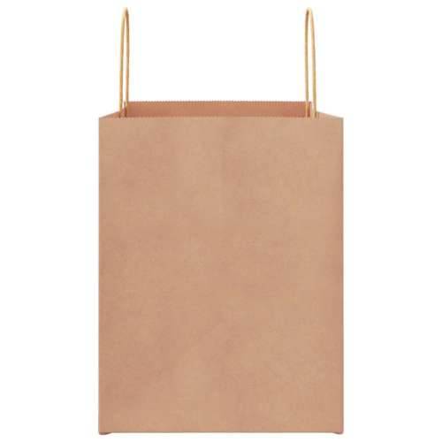 Papirnate vrećice 250 kom s ručkama smeđe 32x22x28 cm - Smeđa 32 x 22 x 28 cm 250 Cijena