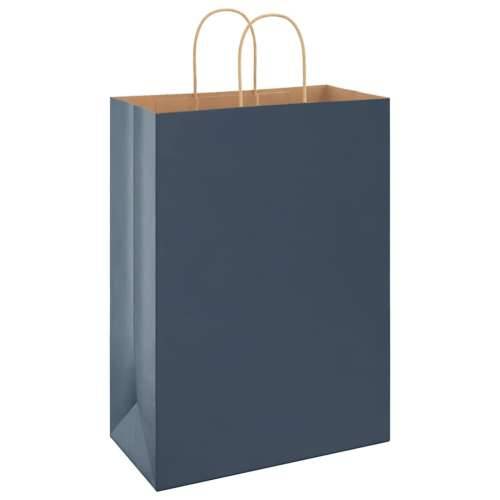 Papirnate vrećice 50 kom s ručkama crne 32x17x44 cm - Plava 32 x 17 x 44 cm 50 Cijena