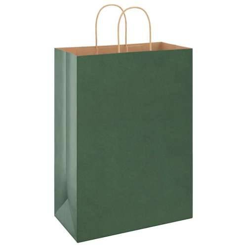 Papirnate vrećice 250 kom s ručkama zelene 32x17x44 cm - Zelena 32 x 17 x 44 cm 250 Cijena