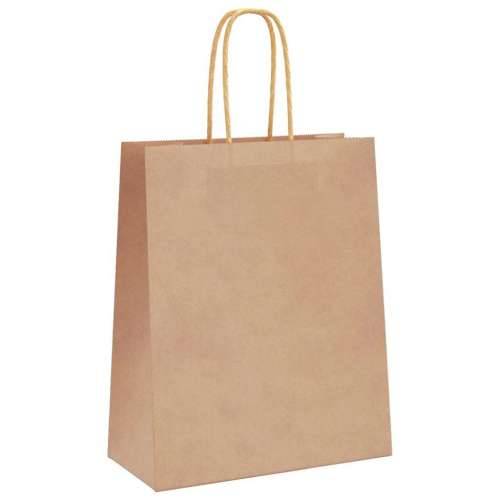 Papirnate vrećice 250 kom s ručkama smeđe 18x8x22 cm - Smeđa 18 x 8 x 22 cm 250 Cijena