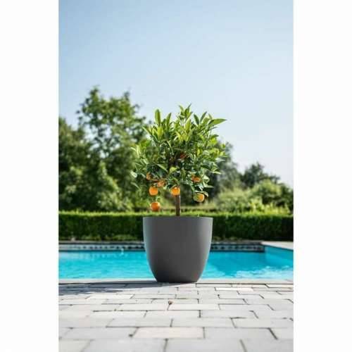 Tegla za biljke Garden ID Phoenix Anthracite Antracitna 48 x 42 cm Cijena