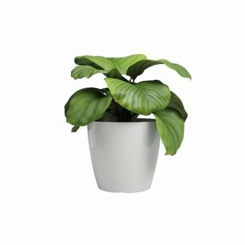 Tegla za biljke Artevasi SAN REMO Bijela Ø 36 cm (4 Dijelovi) Cijena