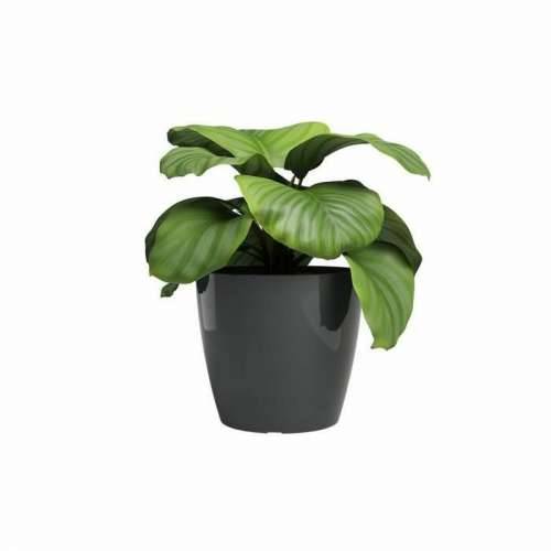 Tegla za biljke Artevasi SAN REMO Antracitna Ø 30 cm Cijena