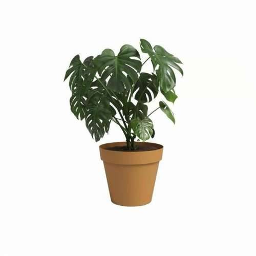 Tegla za biljke Artevasi CAPRI Rumena Ø 40 cm Cijena