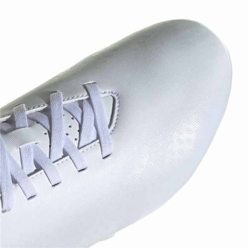 Kopačke za Odrasle Adidas Predator Accuracy 4 Bijela Cijena
