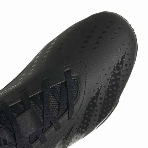 Tenisice za Futsal za Odrasle Adidas Predator Accuracy.4 Crna Uniseks Cijena