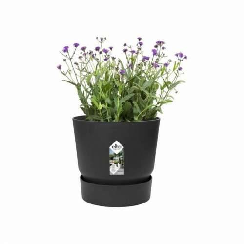 Posuda Elho Crna Plastika Okruglo moderan Ø 47 cm Cijena