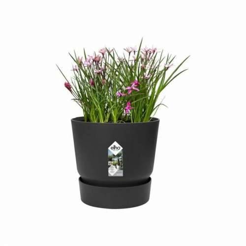 Posuda Elho Crna Plastika Okruglo moderan Ø 47 cm Cijena