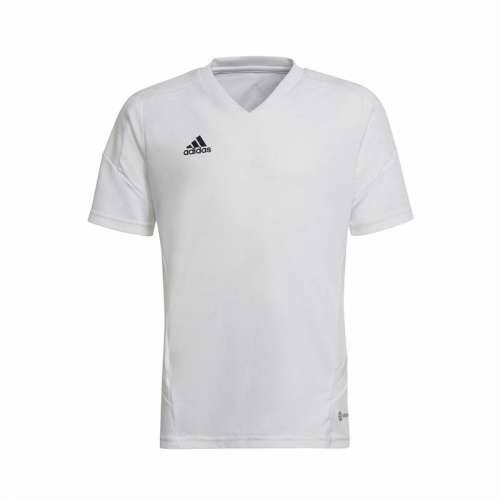 Dječja Majica Kratkih Rukava za Nogomet Adidas Con22 Bijela Cijena