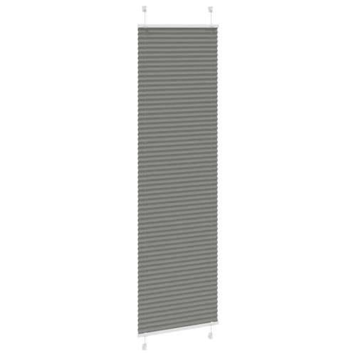 Plisirana roleta antracit 60x200 cm širina tkanine 59,4 cm - Antracit 60 x 200 cm Cijena