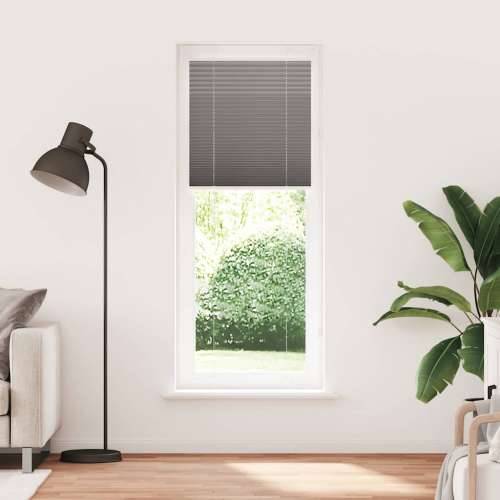Plisirana roleta antracit 70x200 cm širina tkanine 69,4 cm - Antracit 70 x 200 cm Cijena