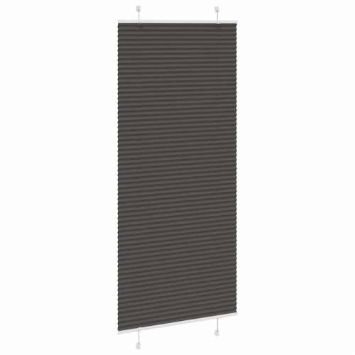 Plisirana roleta crna 100x200 cm širina tkanine 99,4 cm - Crna 100 x 200 cm Cijena