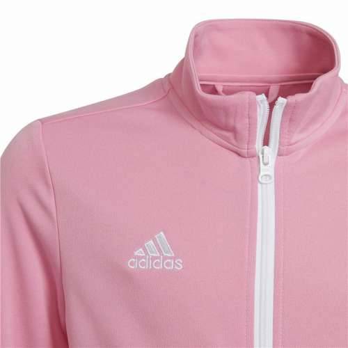 Dječja Sportska Jakna Adidas Ent22 Roza Cijena