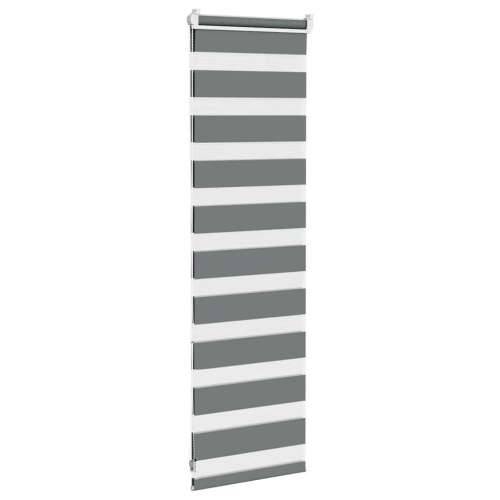 Zavjesa zebra 50x100 cm širina tkanine 45,9 cm poliester - Tamno siva 50 x 100 cm Cijena