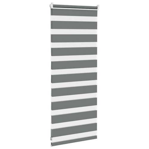 Zavjesa zebra 60x100 cm širina tkanine 55,9 cm poliester - Tamno siva 60 x 100 cm Cijena