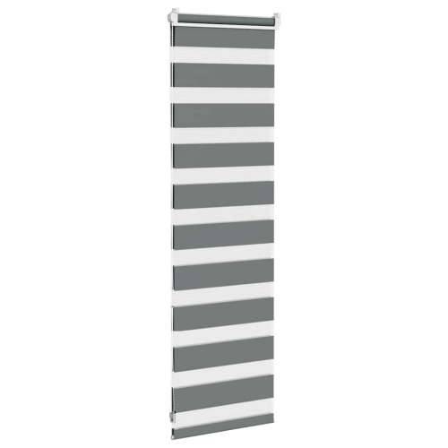 Zavjesa zebra 40x100 cm širina tkanine 35,9 cm poliester - Tamno siva 40 x 100 cm Cijena