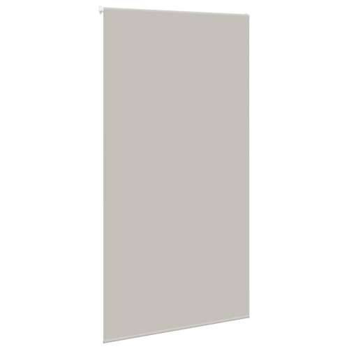 Rolo zavjesa za tuš 140x240 cm širina tkanine 136 cm - Svjetlosiva 140 x 240 cm bez kazete Cijena