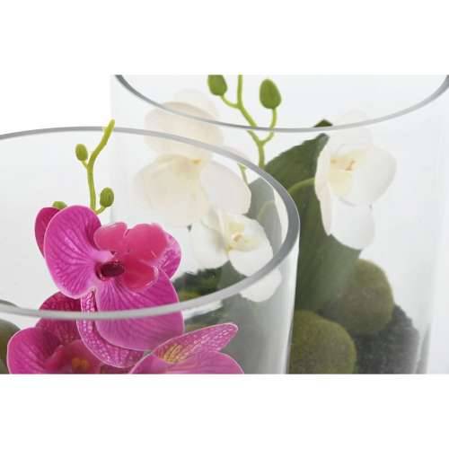Ukrasna Biljka Home ESPRIT PVC Kristal 15 x 15 x 20 cm (2 kom.) Cijena
